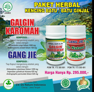 Illustration for article titled Gambar Orang Sakit Batu Ginjal